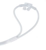Cliquer pour agrandir