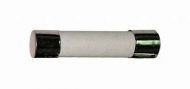 1 X Fuse 3.0 AMP AS-20